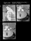 Woman Looking at Sun Dial; Woman on Phone (3 Negatives) (April 21, 1962) [Sleeve 45, Folder d, Box 27]